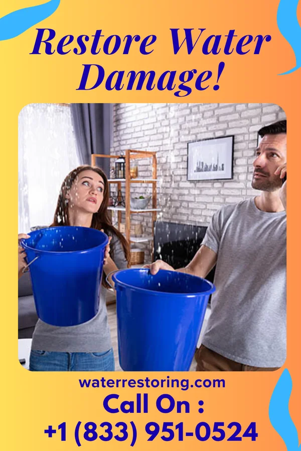 water restoration Classic Flood Cleanup Force Davie